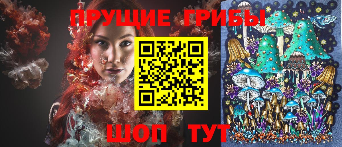 Майский  Псилоцибиновые грибы Psilocybine cubensis  хочу   Вход с VPN 