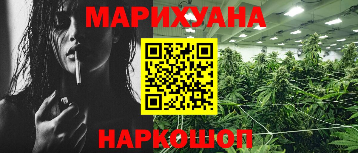 Конопля OG Kush Майский
